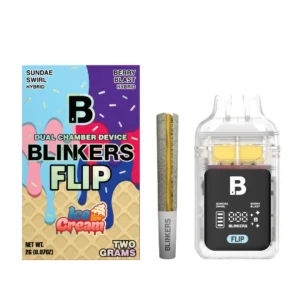Blinkers Flip Ice Cream Sundae Swirl Berry Blast 2G